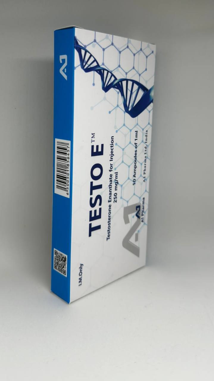 TESTO E